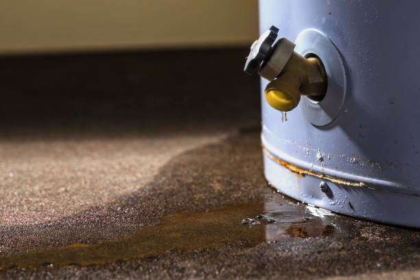Best Fire Damage Restoration  in Weston, WV