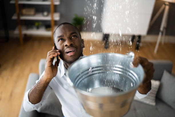 Best Water damage restoration near me  in Weston, WV