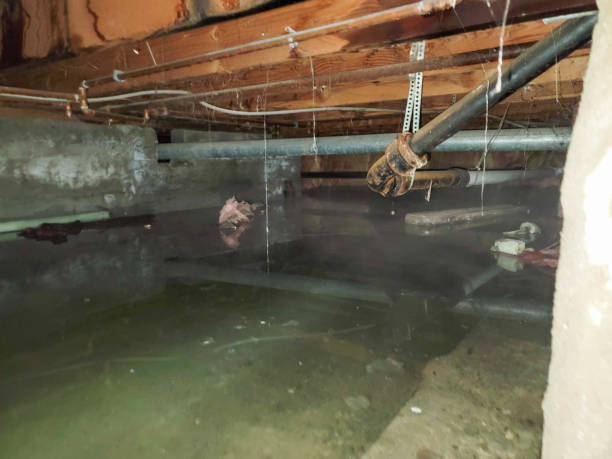 Best Water damage cleanup near me  in Weston, WV