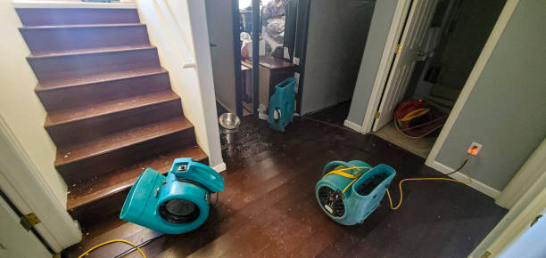 Best 24/7 water damage repair  in Weston, WV