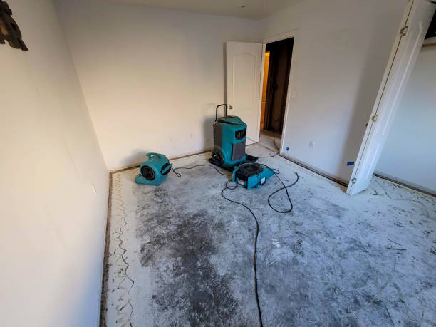 Best Water damage restoration company  in Weston, WV
