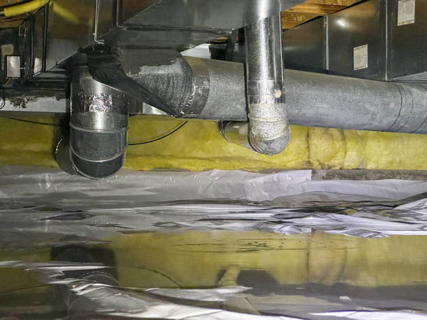 Best 24/7 water damage repair  in Weston, WV