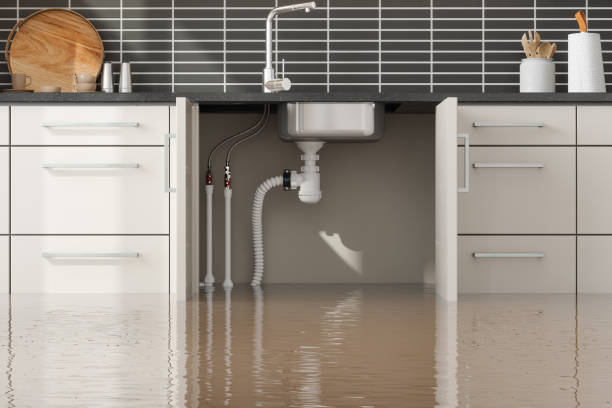 Best Professional water damage repair  in Weston, WV