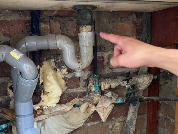 Best Flood damage cleanup  in Weston, WV