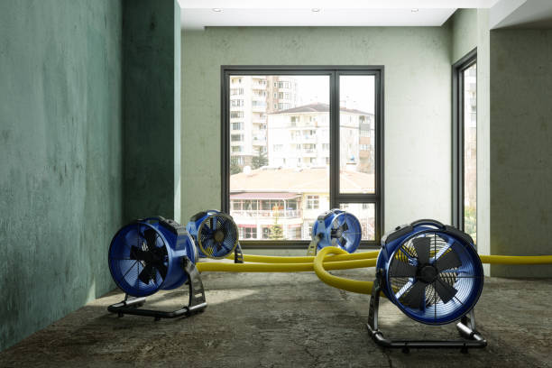 Best Ceiling water damage repair  in Weston, WV
